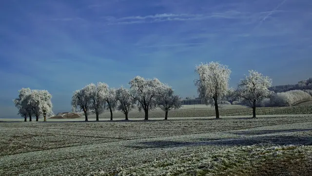 "Neujahrszauber in Andorf", 1. Jänner 2025, von Franz Kinzlbauer | Foto: Franz Kinzlbauer