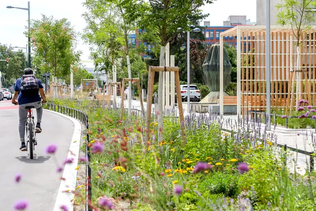 Kagran:
Vom Kagraner Platz über die Praterstraße bis zur Urania. Der neue Rad-Highway verbindet über sieben kilometer gleich drei Bezirke. | Foto: Stadt Wien/Christian Fürthner