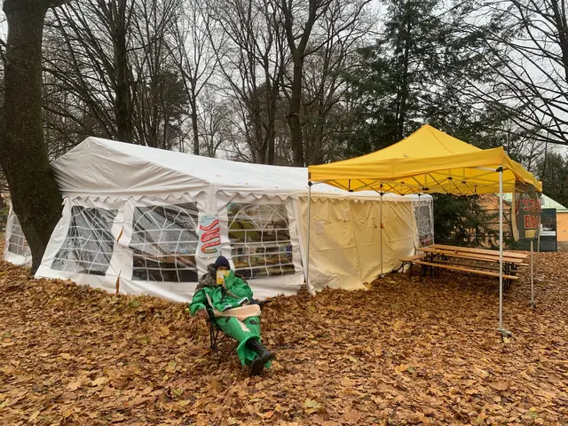 Seit 19. Dezember haben Aktivistinnen und Aktivisten ein Protest-Camp im Bergschlösslpark eingerichtet. Die Baumfällungen starteten am 2. Dezember. Mehrere Bäume wurden seitdem besetzt.  | Foto: Eberhardt