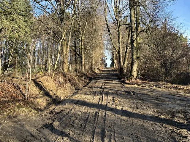 Viele Spuren rund um Zierings deuten auf die Ermittlungen in der Gegend hin. | Foto: MeinBezirk/Bernhard Schabauer