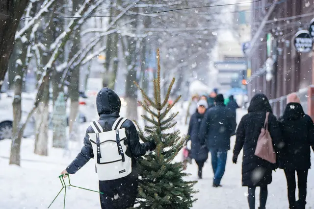 In Hietzing kann man an drei Standorten Christbäume, Reisig, Mistelzweige oder Christbaumkreuze kaufen. | Foto: Oleksandr Pidvalnyi 