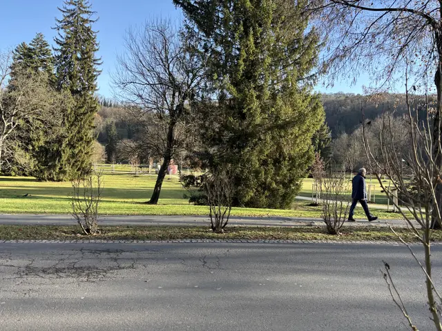 Foto: MeinBezirk/Gerda Sammer-Schmidt