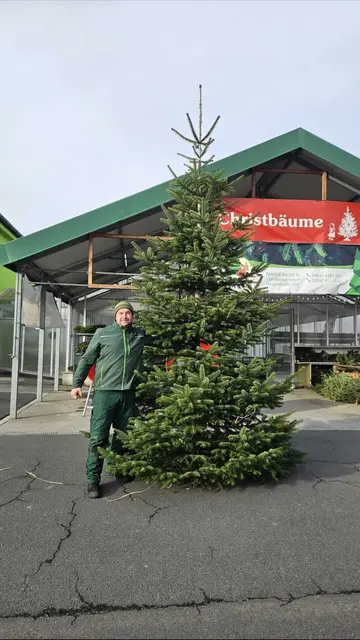 Christbaumproduzent Daniel Fuchs aus Lindgraben zieht eine positive Zwischenbilanz. | Foto: Daniel Fuchs