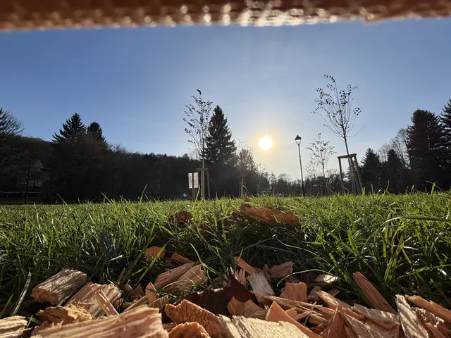 Foto: MeinBezirk/Gerda Sammer-Schmidt