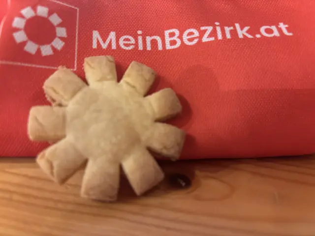 Die unikaten MeinBezirk-Weihnachtskekse... | Foto: MeinBezirk/W. Fischer