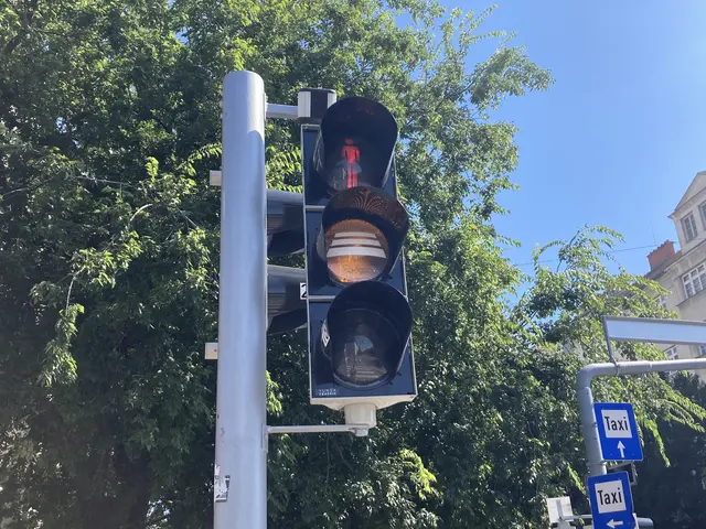 Die Verkehrszentrale der Polizei kann manuell auf die Fußgängerampel bei der U1-Station Vorgartenstraße zugreifen. (Symbolfoto) | Foto: Johannes Reiterits