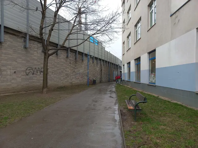 So sah der Weg vorher aus. | Foto: Wiener Stadtgärten