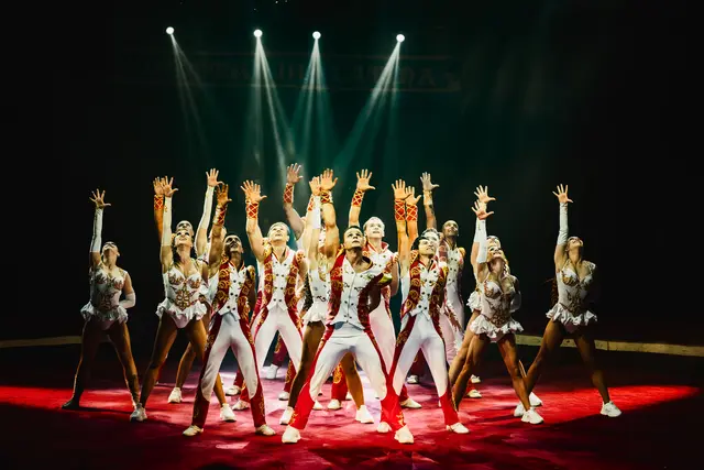 MeinBezirk OÖ bietet mehr als Nachrichten. Wir sind mit unseren Partnerschaften, Events, Serviceangeboten und Specials direkt bei den Menschen. Gleich zu Jahresbeginn lockt der Circus Louis Knie ab 21. Jänner am Linzer Urfahranermarkt-Gelände. Wir verlosen Karten zur Premiere. | Foto: Jolanda Hofmann