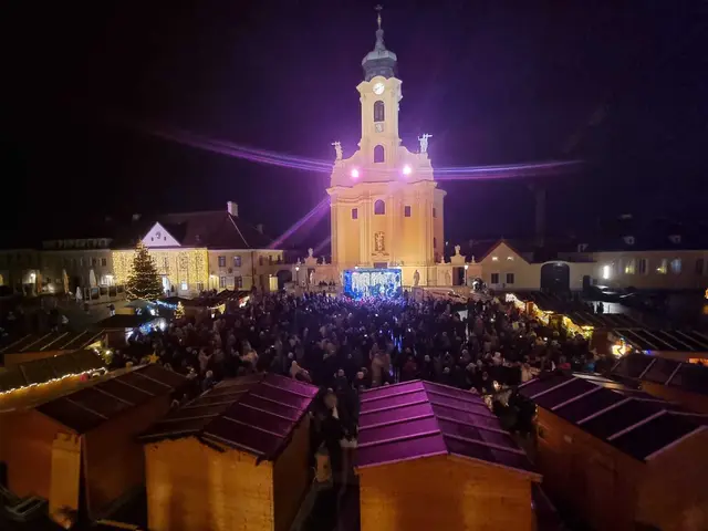 Der gefüllte Schlossplatz beim Konzert von Pete Art. | Foto: Marktgemeinde Laxenburg