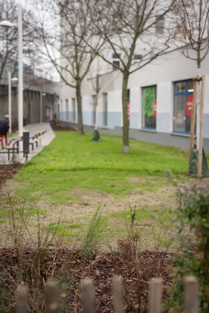 Foto: David Bohmann/ Stadt Wien