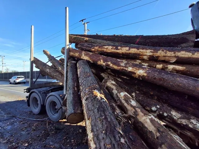 Foto: FF Ternitz-Pottschach