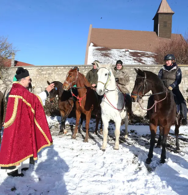 Foto: Österreichischer Pferdesportverband