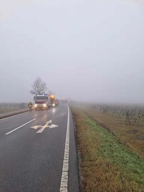 Der MAN-Lkw touchierte beim Ausweichversuch einen Baum. | Foto: FF Pulkau