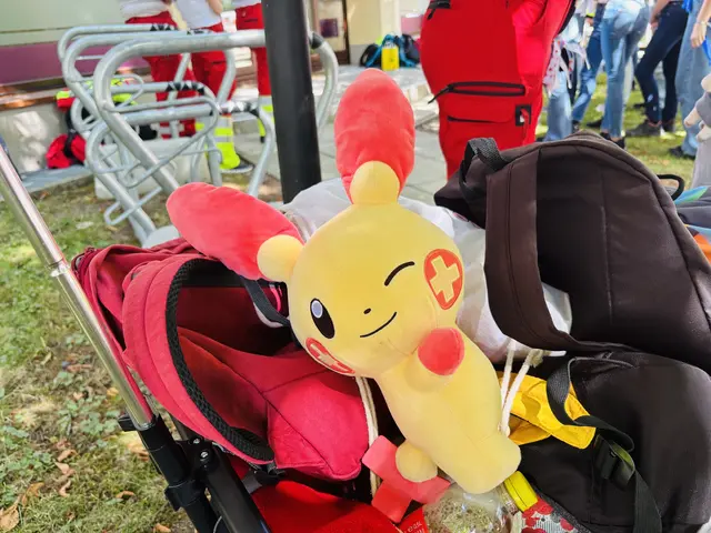 Regionale Politiker drängen auf eine Lösung, die für alle Seiten tragbar ist und die Region wieder eint. | Foto: MeinBezirk/Gerda Sammer-Schmidt