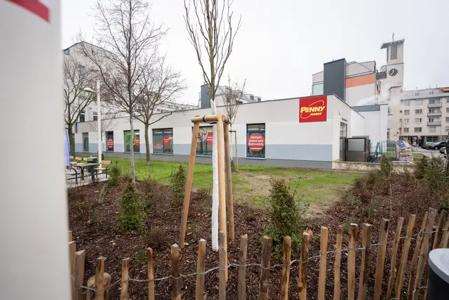 Foto: David Bohmann/ Stadt Wien