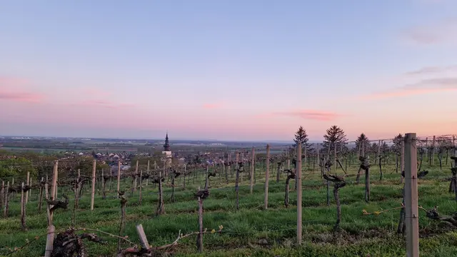 Auferstehungsfeier Königstetten | Foto: Marktgemeinde Königstetten