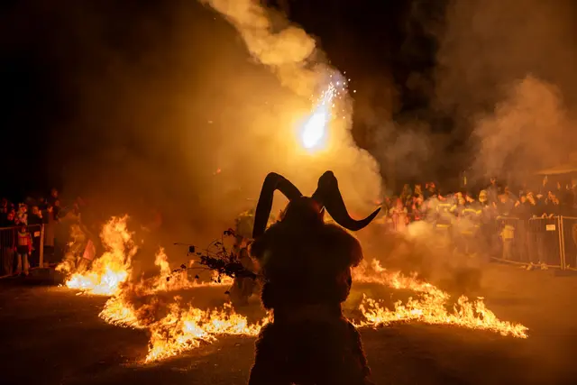 Foto: Manfred Hanus (Montekuh)