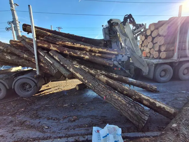 Foto: FF Ternitz-Pottschach