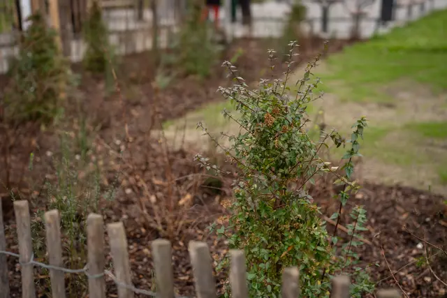 Foto: David Bohmann/ Stadt Wien