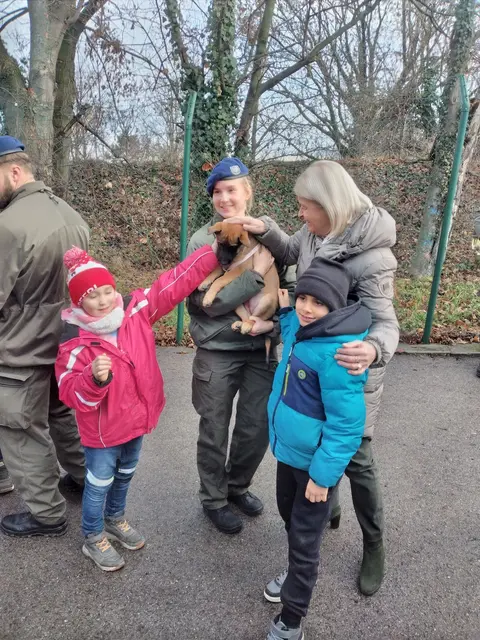 Foto: Bundesheer/Stefan Friebe