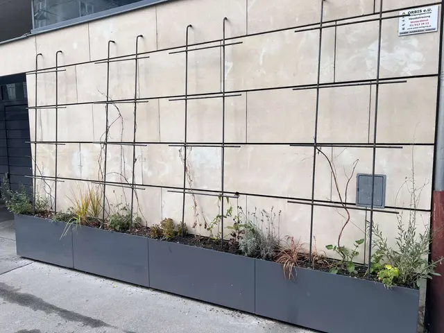 Das Vorhaben entstand auf Initiative der Wohnungseigentümergemeinschaft, die die straßenseitige Hausfassade mit Pflanztrögen und einem Rankgerüst ausstatten ließ. | Foto: BV6