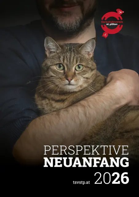 Tierfreunden kann man mit dem neuen Tierschutzkalender Freude schenken - es muss nicht immer ein echtes Tier sein. | Foto: TSV St. Pölten