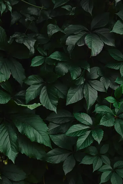 (Symbolbild) | Foto: AntonMatyukha/smarterpix