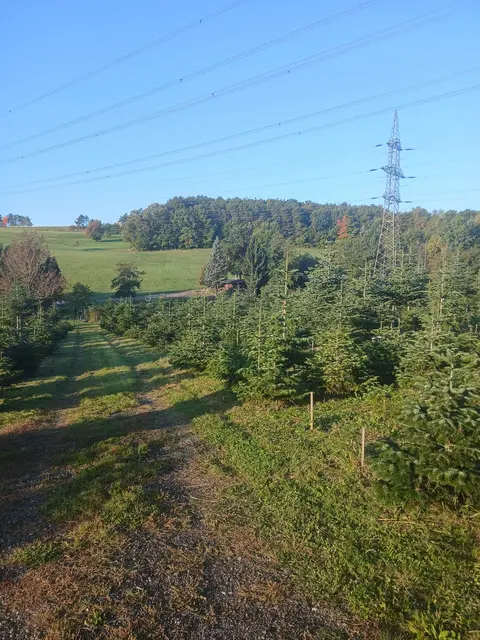 Foto: Christoph Degendorfer