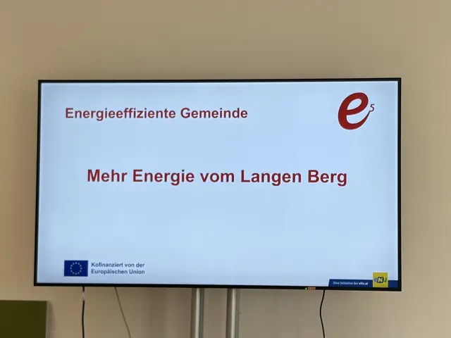 Der Standort Langer Berg soll wachssen – und mit ihm die regionale Energieautonomie. | Foto: Alexandra Goll