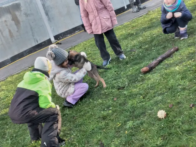 Foto: Bundesheer/Stefan Friebe