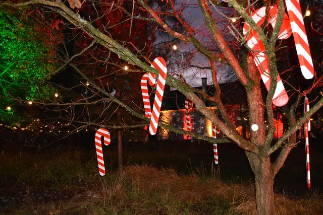Der Renaissancehof von Schloss Lackenbach bot mit seiner stimmungsvollen Lichtgestaltung den perfekten Rahmen für den Weihnachtsmarkt. | Foto: Rosenberger Victoria