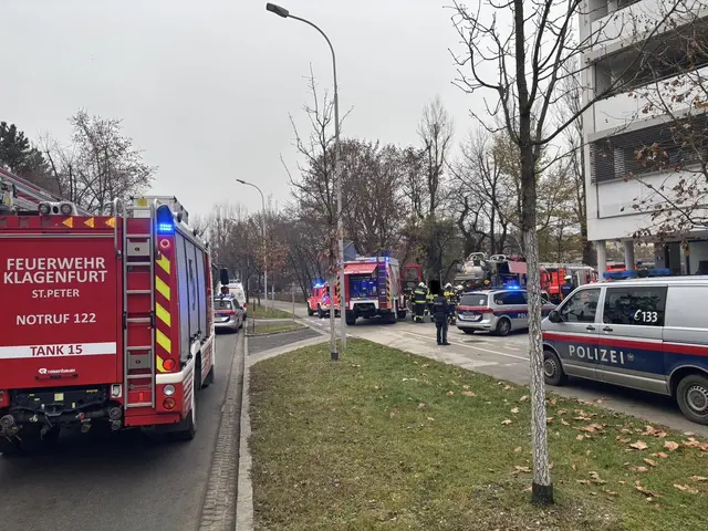 Zahlreiche Einsatzkräfte vor Ort. | Foto: MeinBezirk.at