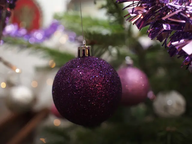 Und wie feierst du Weihnachten? Vor allem: welche Art Christbaum wird in deinem Zuhause aufgeputzt? | Foto: Santrucek