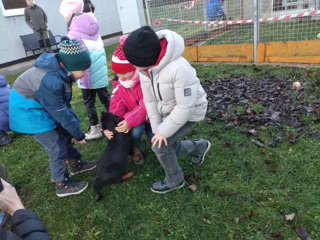 Foto: Bundesheer/Stefan Friebe