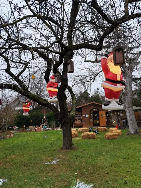 Weihnachtlich geschmückter Garten zur Wintersonnenwende | Foto: privat