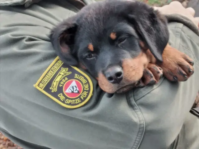 Foto: Bundesheer/Stefan Friebe