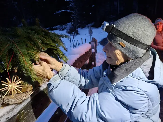 Hofer Hedi kennt jede Krippe bis ins Detail | Foto: Karin Prassl