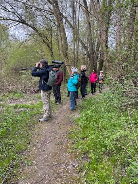 Foto 16 | Foto: Gemeinde Muckendorf-Wipfing