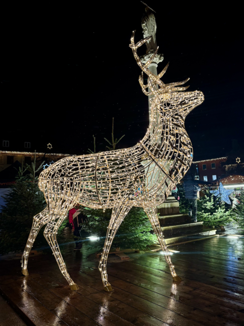 Augenweiden wie diese zieren die gesamte Innenstadt. | Foto: Lena Ferstl