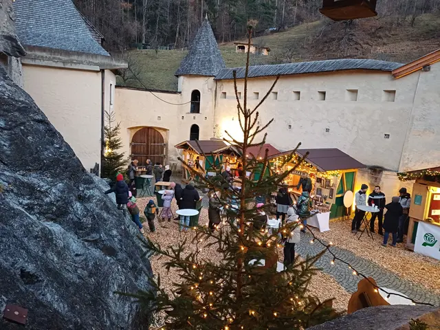 Foto: Monika Hammerl