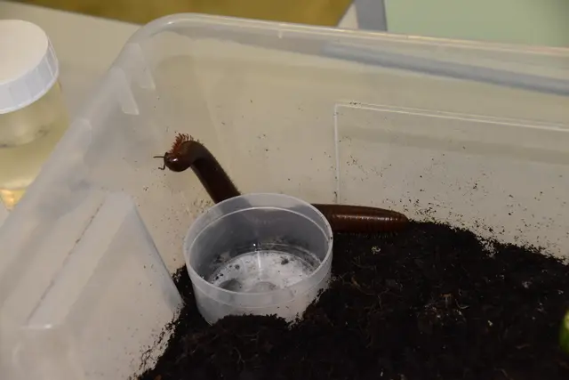 Foto: MeinBezirk/Michael Strini