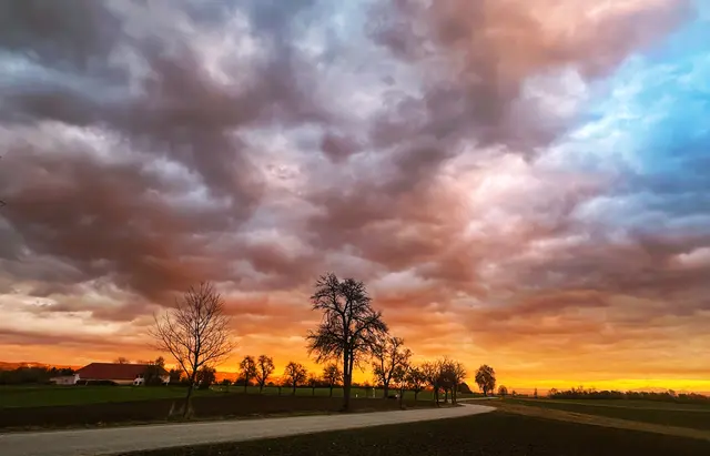 Julia Eisterer erwischte Ende Oktober nach kalten, regnerischen Tagen endlich wieder einen schönen farbigen Sonnenuntergang mit der Kamera. | Foto: Julia Eisterer
