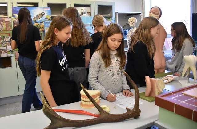 Foto: Wimmer Gymnasium