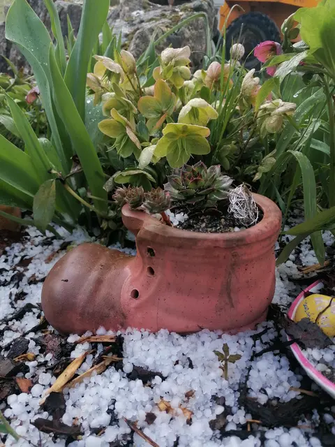 Aprilwetter am 31. März: Hagel bei Erika Harringer in Schwertberg. | Foto: Erika Harringer