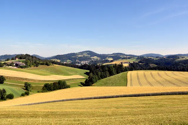 Juli: Hügeliges Mühlviertel – Pabneukirchen. | Foto: Robert Zinterhof
