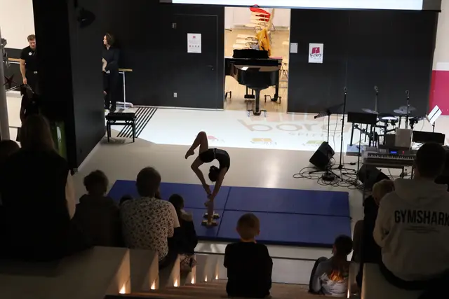 Schüler veranschaulichten ihre sportliche Ausbildung. | Foto: MeinBezirk.at