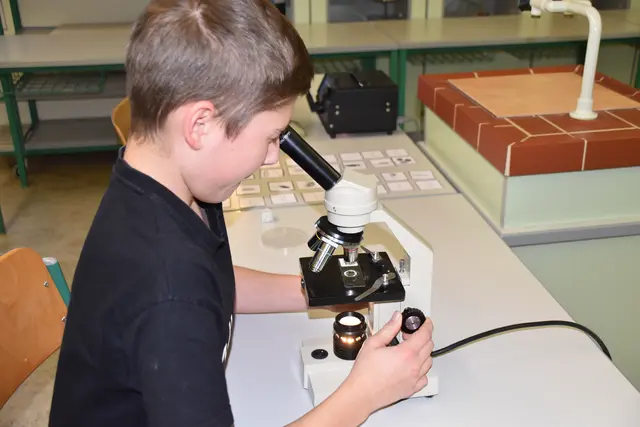 Foto: MeinBezirk/Michael Strini