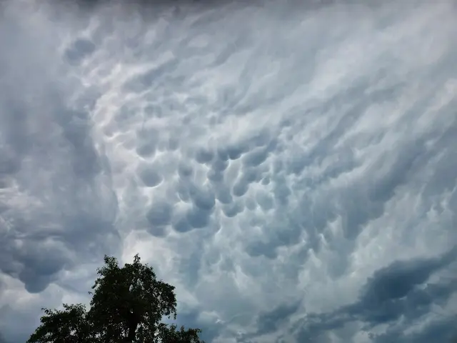 Beeindruckende Mammatuswolken im Juni über dem Machland. | Foto: Thomas Lettner