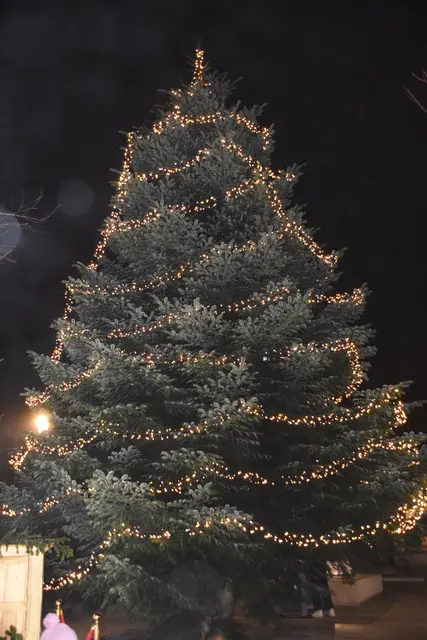 Foto: MeinBezirk/Michael Strini