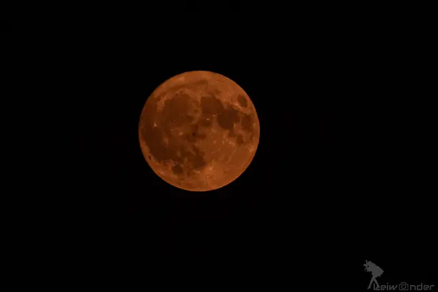 Der sogenannte Erdbeermond war im Juni am Himmel zu sehen. | Foto: Irmgard Leitner